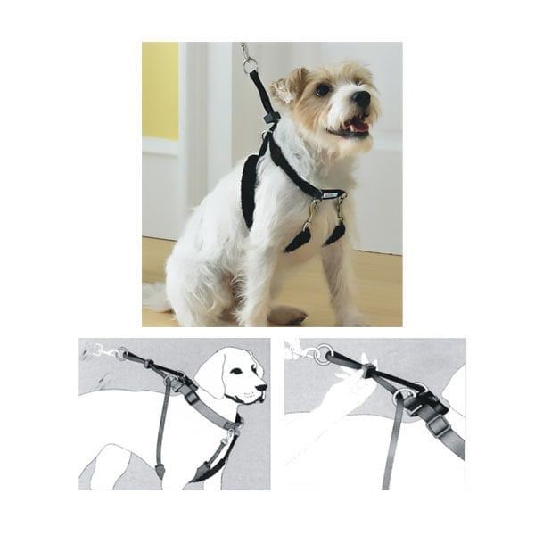 Pawise Dog Training Köpek Eğitim Tasması Large 23-33 Cm