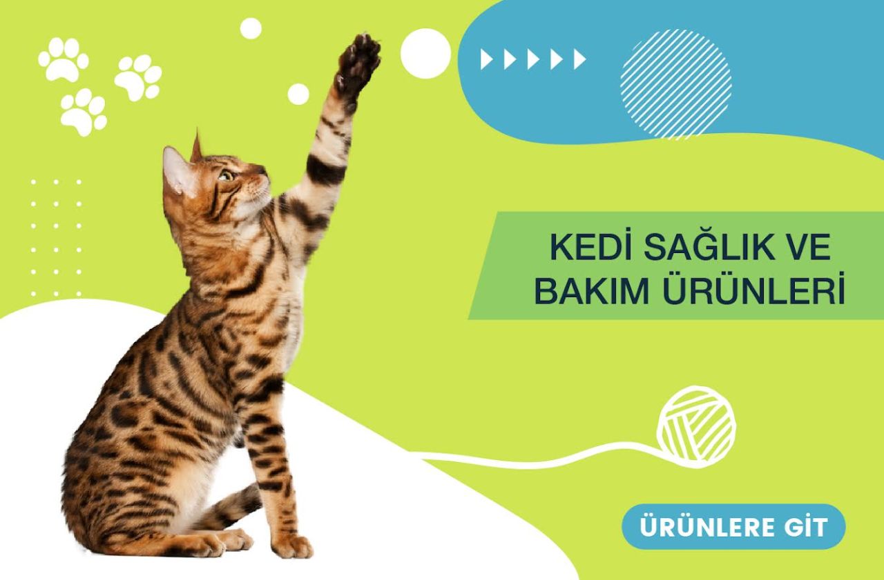 Kedi Sağlık ve Bakım Ürünleri
